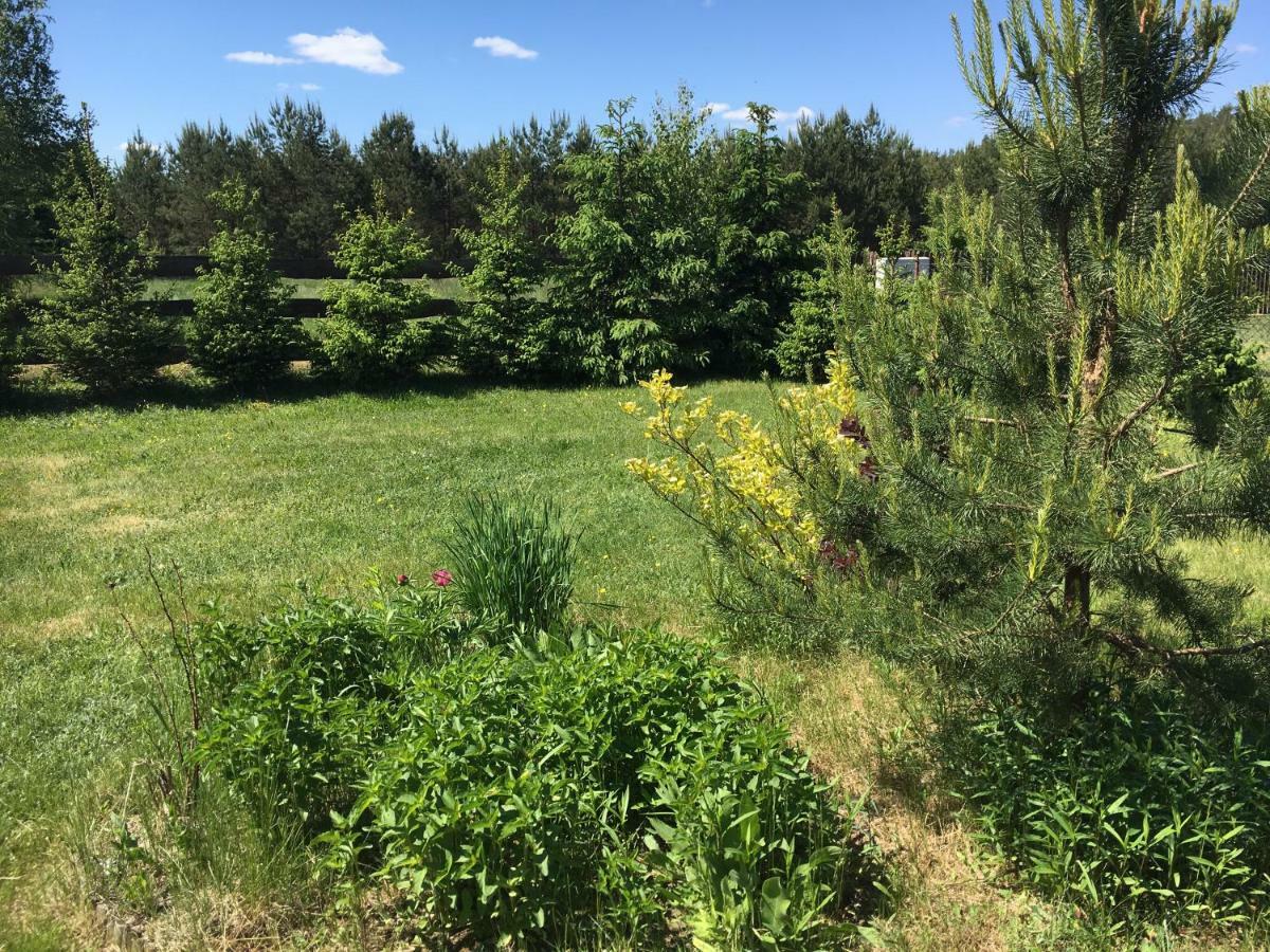 Gorczyca Reset Holiday home